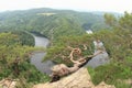 Pinetree on view on river Vltava - Vyhlidka Maj