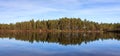 Pinewood, pine forest reflected in a lake in the wilderness of Norway, panorama Royalty Free Stock Photo