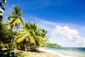 Pinfold Bay, Tobago Royalty Free Stock Photo