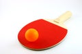 Ping Pong Paddle and Ball