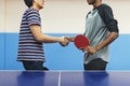 Ping Pong Table Tennis Game Practicing Sport Concept Royalty Free Stock Photo