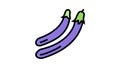 ping tung eggplant color icon animation
