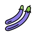 ping tung eggplant color icon vector illustration