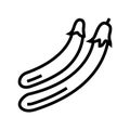 ping tung eggplant line icon vector illustration
