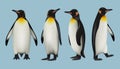 Pinguins realistic. Arctic fauna wild animals in cold outdoor environment father mother and other imperial pinguins