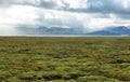 Pingvellir national park in Iceland Royalty Free Stock Photo