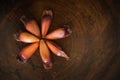 Pinhao Ã¢â¬â Pinion fruit brazilian pine on wooden background. Royalty Free Stock Photo