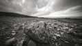 Pinhole camera sepia stone textures, dramatic skies, soft focus capture for unique perspective