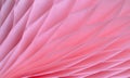 Pink abstract background with bizarre pattern. Soft lines transition light and dark shadows. Photos with soft focus Royalty Free Stock Photo