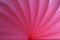 Pink abstract background with bizarre pattern. Soft lines transition light and dark shadows. Photos with soft focus