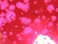 Pink abstract bubble background