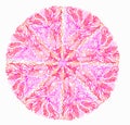 Pink abstract floral mandala. Watercolor vector vintage round illustration