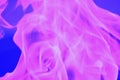 Abstract glare of flames of pink light on a blue background Royalty Free Stock Photo