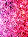 Pink Abstract pixelated wallpaper bright