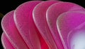 pink abtract background some light spin, 3d rendering Royalty Free Stock Photo