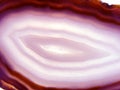 Pink agate geode geological crystals