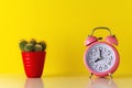 Pink alarm clock with cactus in pot on wooden desk. Minimal time concept Royalty Free Stock Photo