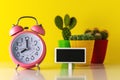 Pink alarm clock with cactus in pot on wooden desk. Minimal time concept Royalty Free Stock Photo