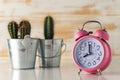 Pink alarm clock with cactus in pot on wooden desk. Minimal time concept Royalty Free Stock Photo