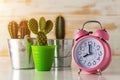 Pink alarm clock with cactus in pot on wooden desk. Minimal time concept Royalty Free Stock Photo