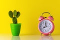 Pink alarm clock with cactus in pot on wooden desk. Minimal time concept Royalty Free Stock Photo