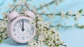 Pink alarm clock and delicate little white flowers on blue background. Top view. Time for love and greetings. Spring Royalty Free Stock Photo