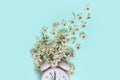 Pink alarm clock and delicate little white flowers on blue background. Top view. Time for love and greetings. Spring Royalty Free Stock Photo