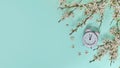 Pink alarm clock and delicate little white flowers on blue background. Top view. Time for love and greetings. Spring Royalty Free Stock Photo