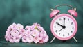 Pink alarm clock and flowers on blue background, spring, daylight savings time concept Royalty Free Stock Photo