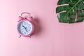 Pink alarm clock with palm leaf on pastel pink background. Minimal concept