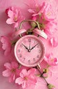 Pink alarm clock surrounded by delicate cherry blossoms on pink background