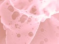 Pink Alcohol Art. Realistic Painting. Marble Texture Imitation Art. Gentle Liquid Fluids Background. Grunge Chinese Fluids.