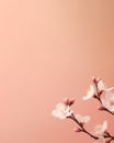 Pink almond blossoms on a peach background, with space for minimalist text.