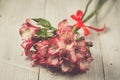 Pink alstromeria flowers Royalty Free Stock Photo