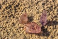 Pink amethyst, in its natural, non-polished state, reveals soft pink hues with translucent clarity.