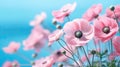 pink anemone flowers on blue sky background with copy space Royalty Free Stock Photo