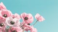 Pink anemone flowers on blue sky background with copy space Royalty Free Stock Photo