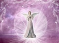 Pink angel archangel with heart and rays of light like love, peace and belief concept