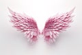 pink angel wings isolated on white background Royalty Free Stock Photo