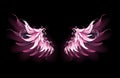 Pink angel wings on black background Royalty Free Stock Photo