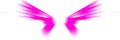Pink angel wings on white background