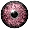 Pink animal eye texture, 3d eyeball