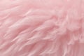 Pink animal wool texture background. Rosy tint natural wool. Close-up texture of plush fluffy fur Royalty Free Stock Photo