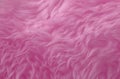 Pink animal wool texture background. Rosy tint natural wool. Close-up texture of plush fluffy fur Royalty Free Stock Photo