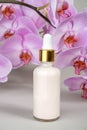 Pink anti-aging collagen, facial serum in transparent glass bottle with gold pipette and natural orchid flower on grey background Royalty Free Stock Photo