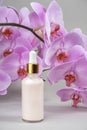 Pink anti-aging collagen, facial serum in transparent glass bottle with gold pipette and natural orchid flower on grey Royalty Free Stock Photo
