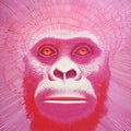 Pink Ape: Luminous Gorilla Portrait On Pink Paper