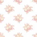 Pink apples seamless pattern on white background. Vintage botanical wallpaper Royalty Free Stock Photo