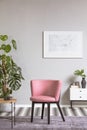 Pink armchair in the living room Royalty Free Stock Photo