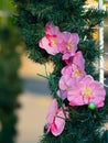 Pink artificial flowers with blurry background
